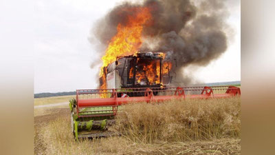 'Samarqandda g`allasi o`rib olingan er yonib ketdi'ning rasmi