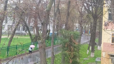 Изрображение 'В Ташкенте временами дождь: погода на 29 марта'
