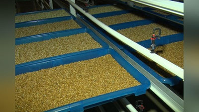 'Yil yakuniga qadar 100 ming tonna quvvatdagi 29 ta omuxta em ishlab chiqarish korxonasi ishga tushiriladi'ning rasmi