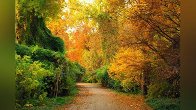 'Botanika bog`ida nazorat kuchaytiriladi'ning rasmi