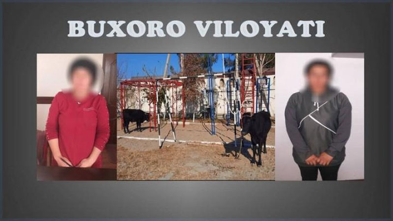 'Бухорода мол ўғирлиги билан шуғулланиб келган аёллардан иборат жиноий гуруҳ қўлга олинди'ning rasmi