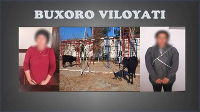 'Бухорода мол ўғирлиги билан шуғулланиб келган аёллардан иборат жиноий гуруҳ қўлга олинди'ning rasmi