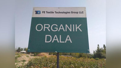 'O`zbekistonda ilk bora organik paxta etishtirildi'ning rasmi