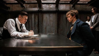 Изрображение 'ТАШКЕНТЦЫ УЗНАЮТ, ГДЕ ОБИТАЮТ ФАНТАСТИЧЕСКИЕ ТВАРИ (ВИДЕО)'