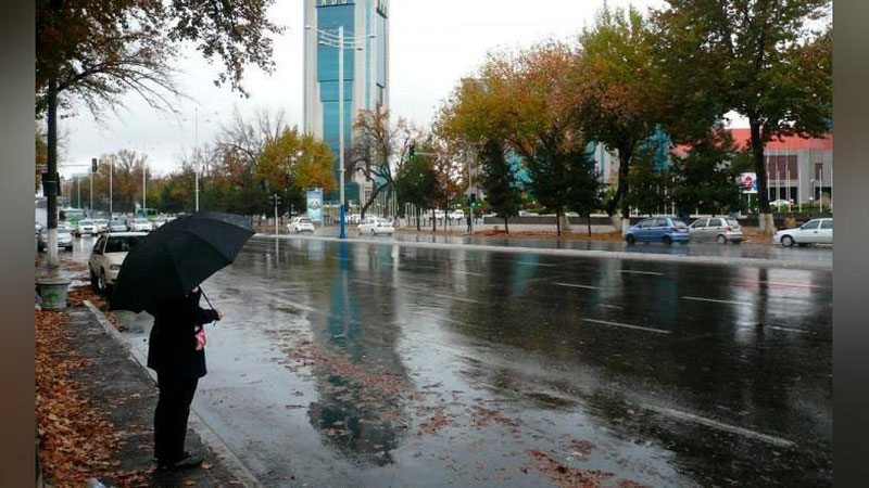 '⚡️ Salqin havo, yomg`ir, momaqaldiroq... O`zbekistonda bu hafta harorat 11 darajagacha pasayadi'ning rasmi