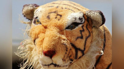 'Шотландияда ўйинчоқ йўлбарс бир соат давомида фермер ва полициячилар отрядини даҳшатга солди'ning rasmi