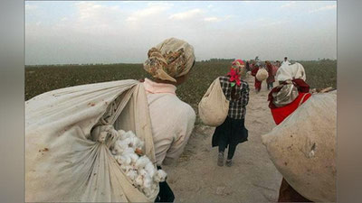 'Paxta mavsumida majburiy mehnatga jalb qilinganlar vazirlikka murojaat qilishi mumkin'ning rasmi