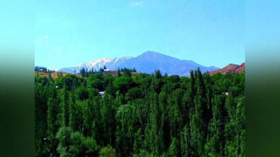 'O`zbekistonda yangi hafta qanday ob-havo bilan boshlanadi?'ning rasmi