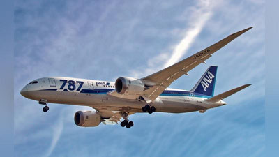 'Toshkentdan Indoneziyaga aviaqatnovlar tiklanadi'ning rasmi