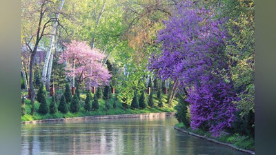 '3 апрель куни кутилаётган об-ҳаво маълумоти'ning rasmi