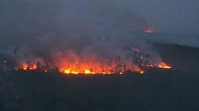 'O`rmon yong`inlari kuchaymoqda (Video)'ning rasmi