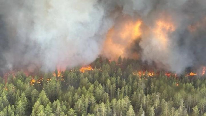 'Qozog`istondagi o`rmonda yuz bergan kuchli yong`in natijasida 3 odam halok bo`ldi, yana 11 kishi qidirilmoqda'ning rasmi