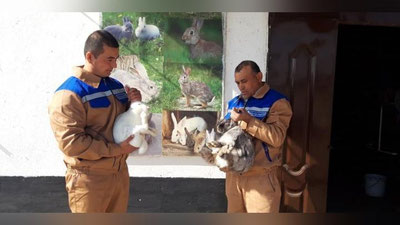 'Sirdarayoda mahkumlarga panjara ortida hunar o`rgatilmoqda'ning rasmi