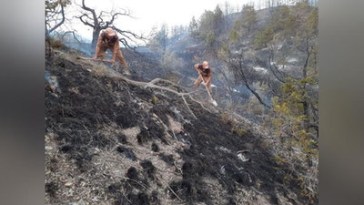 'Zomindagi yong`in mansabdorga tegishli “dacha”dan chiqqan edimi? Rasmiylar nima deydi?'ning rasmi