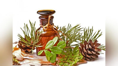 'OQQARAG`AY YoG`I — MASTITGA DAVO'ning rasmi