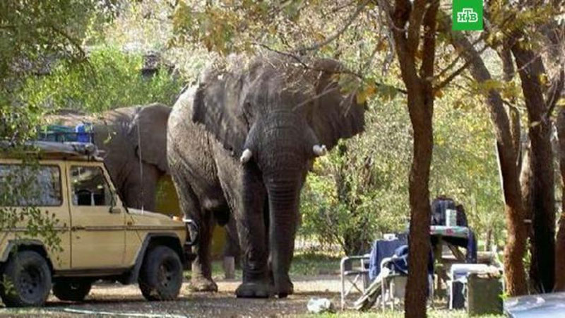 'ZAMBIYa POYTAXTI LIVINGSTON ShAHRIDA BAXTSIZ HODISA YuZ BERDI'ning rasmi