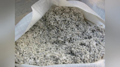 Изрображение 'ВОЗБУЖДЕНЫ УГОЛОВНЫЕ ДЕЛА НА РУКОВОДСТВО ТРЕХ ХЛОПКОЗАВОДОВ В ХОРЕЗМЕ'