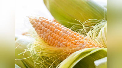 'Мадад-шифо: МАККАЖЎХОРИ ГЛАУКОМАДА'ning rasmi