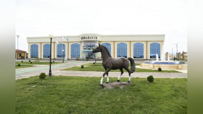 'Buxoro amiri Said Abdulahadxon fransuz fotografiga toza qonli qorabayir otini tortiq qilgan edi'ning rasmi