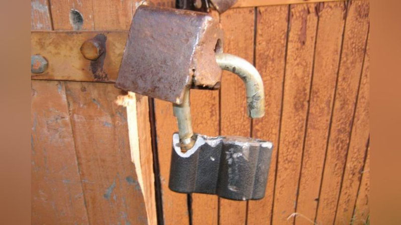 Изрображение 'ПОД САМАРКАНДОМ ПОЙМАЛИ ЛЮБИТЕЛЕЙ ЛЕГКОЙ НАЖИВЫ'