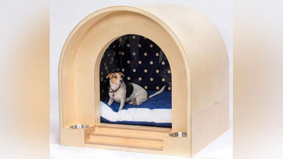 'Машҳур архитекторлар Лондон хайрия кимошди савдоси учун итларга ўндан ортиқ уйчалар ясалди (Фото)'ning rasmi