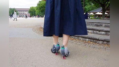 '​Кабутар шаклли туфли кийган аёл ижтимоий тармоқларни забт этди (Фото)'ning rasmi