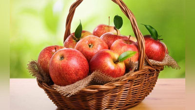 'QON BOSIMINGIZ OShDIMI? OLMA ENG'ning rasmi