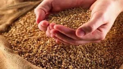 'Тожикистонда буғдой унидан заҳарланганлар сони ортмоқда'ning rasmi