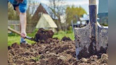 'Majburiy mehnatga to`liq barham beriladi. Yangi tahrirdagi O`zbekiston Konstituyasiga tegishli norma kiritilmoqda'ning rasmi