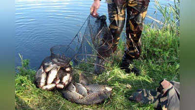 '​SIRDARYoDA 2 ShAXSNING NOQONUNIY BALIQ OVI 24 MILLION SO`M ZARAR KELTIRDI'ning rasmi