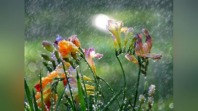 '27 март куни вақти-вақти билан ёмғир ёғиб, момақалдироқ бўлиши мумкин'ning rasmi