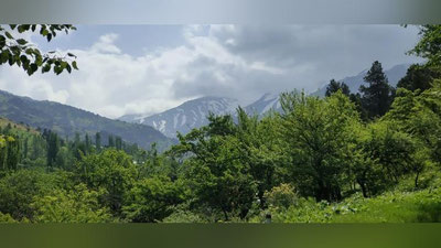 Изрображение 'По Узбекистану временами дождь: погода на 10 мая'