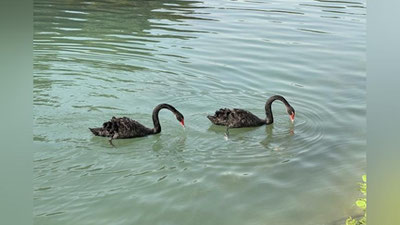 'Tog`li hududlarda yomg`ir yog`ishi mumkin'ning rasmi