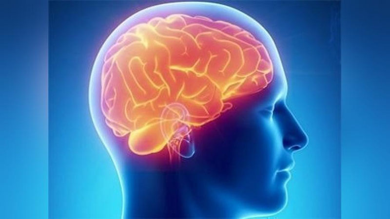 'Britaniyada bosh miya saratoni da`vosi topildi'ning rasmi