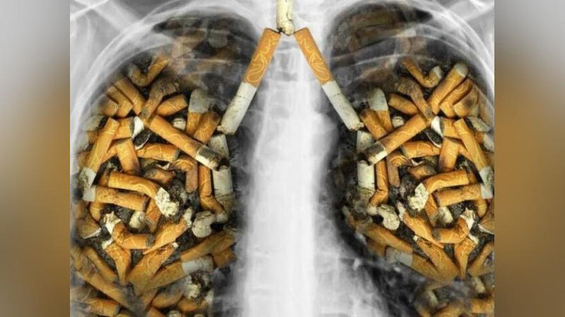 Rahbar bilan jinsiy aloqa