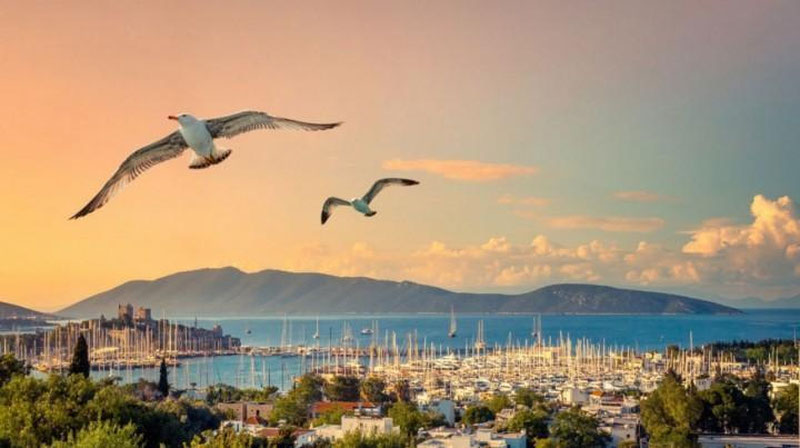 'Bodrum quyoshi ostida yoxud Turkiyaning xayolingizga ham kelmagan tomonlari (foto)'ning rasmi