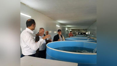 'Baliqchilik ilmiy tadqiqot institutida vengriyalik olimlar bilan uchrashuv bo`lib o`tdi'ning rasmi