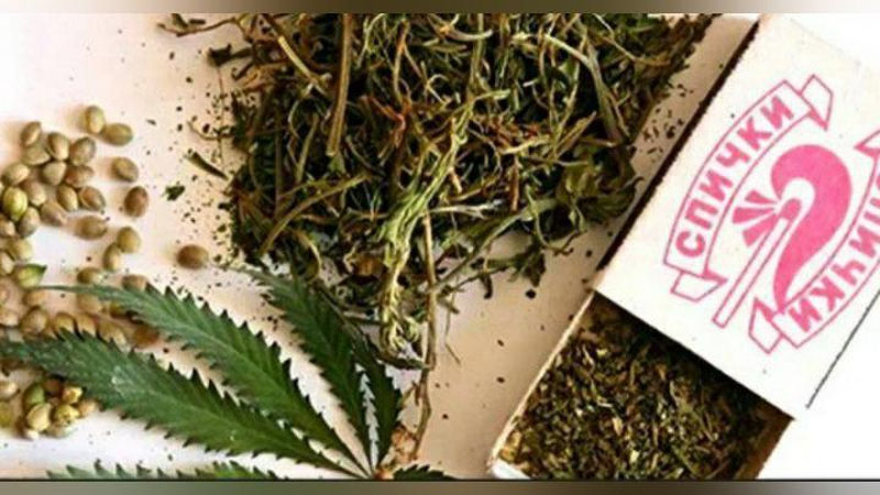 '"Опий", "Гашиш", "Марихуана"...    Сурхондарёда гийоҳвандлик воситалари савдоси билан шуғулланувчи уюшган гуруҳ фош этилди   'ning rasmi