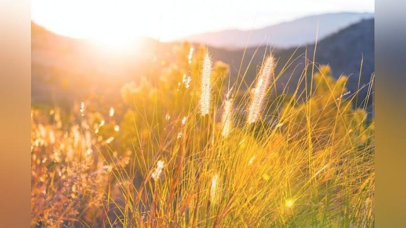 'Ўзгидромет 8 июнь куни кутилаётган об-ҳаво маълумотларини эълон қилди'ning rasmi