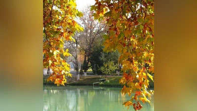 'Dam olish kuni qanday ob-havo kuzatiladi?'ning rasmi