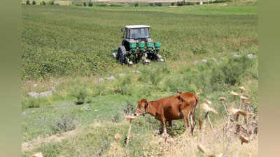 'Dehqon xo`jaliklariga 50 million so`mgacha garovsiz kredit beriladi'ning rasmi