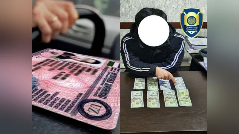 'Сирдарёда ҳайдовчилик гувоҳномаларини 800 доллар эвазига олиб беришни ваъда қилган фуқаро қўлга олинди'ning rasmi