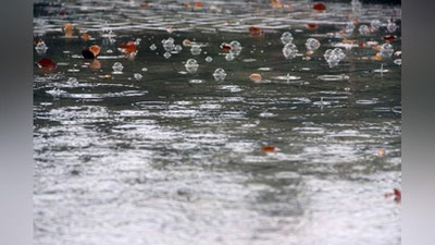 'Bugun ham O`zbekiston bo`ylab yomg`irli ob-havo kuzatiladi'ning rasmi