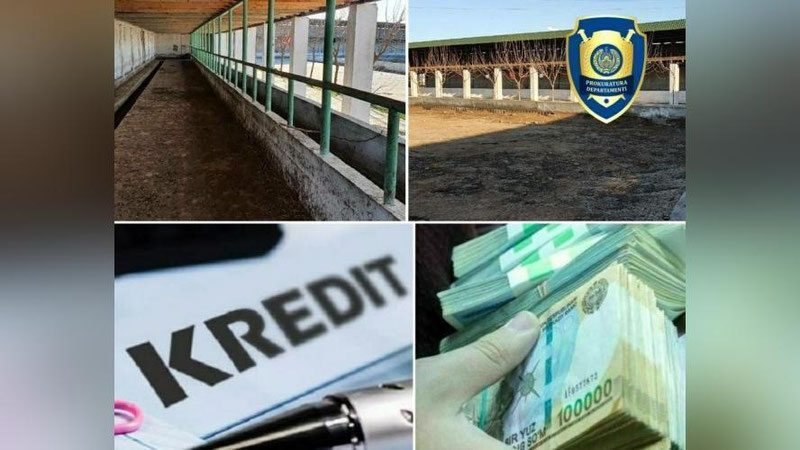 'Oltinsoy va Termiz tumanlarida umumiy 12,2 mlrd kredit mablag`larini o`zlashtirgan MChJ rahbarlari qo`lga olindi'ning rasmi