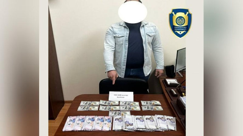 'Toshkentda qalbaki dollarlarni sotmoqchi bo`lgan shaxs qo`lga olindi'ning rasmi