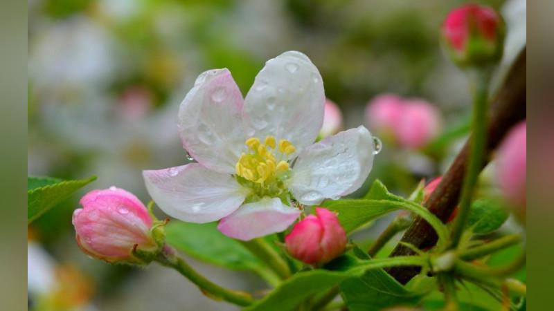 'Bugun havo harorati 16-21 daraja bo`ladi'ning rasmi