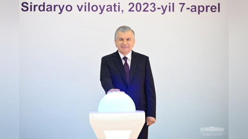 'Prezident Gulistondagi “Omon med farm” korxonasida bo`ldi'ning rasmi