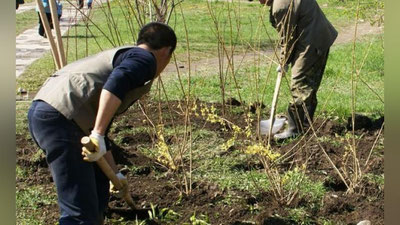 'Endilikda aliment to`lamagan shaxs haq to`lanadigan jamoat ishlariga majburiy jalb qilinadi 'ning rasmi