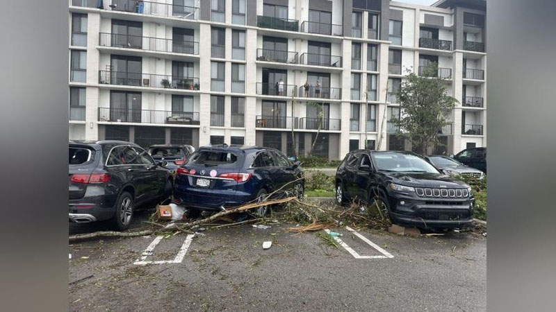 'AQShda kuchli tornado avtomobillarni ag`darib, daraxtlarni erdan qo`porib yubordi (video)'ning rasmi