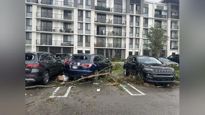 'AQShda kuchli tornado avtomobillarni ag`darib, daraxtlarni erdan qo`porib yubordi (video)'ning rasmi